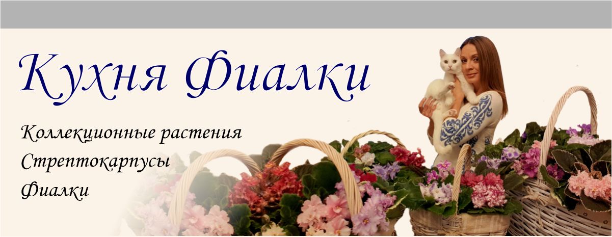 ФИАЛКИ В БЕЛАРУСИ, фиалки В МОГИЛЕВЕ, зарубежные сорта, ЗАКАЗАТЬ ФИАЛКИ ...